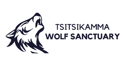 Tsitsikamma Wolf Sanctuary